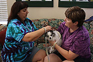 Pet first aid: Local groomer offering pet CPR, first aid class