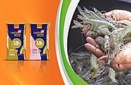 Nouriture: The Best Shrimp Feed with Different Nutrients that are Highly Beneficial