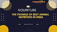 The Promise of Best Animal Nutrition in India