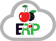 Enterprise Resource Planning POS Module - ERP POS Module | CherryberryERP
