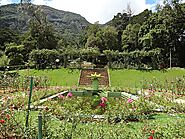Explore Hakgala Botanical Garden