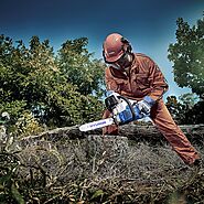 Which Hyundai Chainsaw? - Pressure Pump Solutions Ltd.