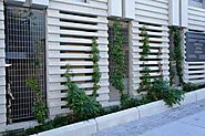 Add Security Grilles for Doors and Windows to Protect Your Home - Security Doors Sydney
