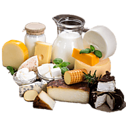Dairy - Cheese, Milk & Others – MyFooDen