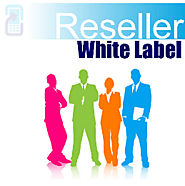 Best white label SEO reseller India