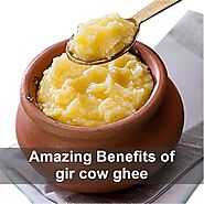 Gir Cow Ghee Benefits: Amazing benefits of Gir cow ghee – Navmi Foods