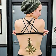 100+ Unique Spine Tattoo Ideas and Designs