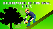 Historic Reasons For Tree Stump Removal At House