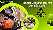 Commercial and Residential Tree Trimming Service