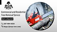 Hire a Tree Removal Service in Lake Charles