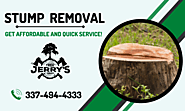Leading Experts of Stump Removal Services