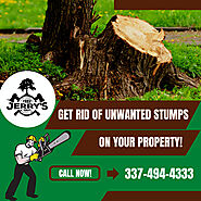 Residential & Commercial Stump Removal Service