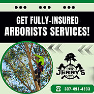 Keep Your Trees Healthy with Our Arborists!