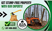 Remove Your Tree Stumps with Our Experts!