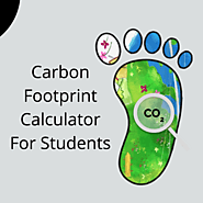 Carbon Footprint Calculator For Students