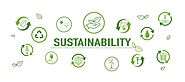 Exclusive Relationship Between Sustainability and Economic Growth