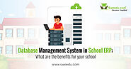 Database Management System in School ERP: What are the benefits for your school