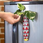 Lazy Gardener Magnetic Hydroponic Planter with Cleaning Brush | Unique Ceramic Fridge Magnet - Handmade, Hand Painted...