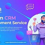 Custom CRM Development Service