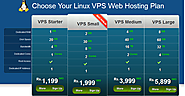 Linux VPS Hosting USA Based