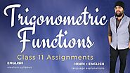 Trigonometric Functions Class 11 Notes & Assignments
