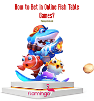 How to Bet in online Fish Table Games?