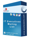 IT Executives Mailing List