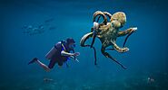 Spain to build world's first octopus farm, scientists raise concerns - Devoted To Nature