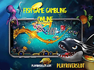 Play fish gambling game online