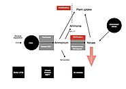 Urease inhibitors. 48 - GILBA SOLUTIONS