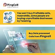 How do Real Estate Contractors get More Leads with Ping Call?
