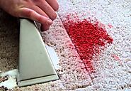 HOW TO GET PAINT OUT OF CARPET?