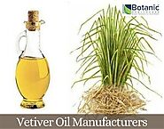 Vetiver Oil Manufacturers