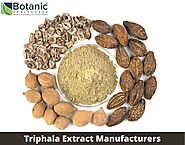 Triphala Extract Manufacturers