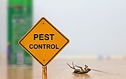 5 Reliable Termite Control Services In Singapore