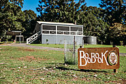 Boobook | Bunya Mountains