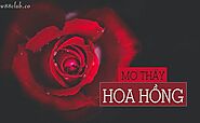 Nằm mơ thấy hoa hồng đánh con gì? Điềm báo lành hay dữ?