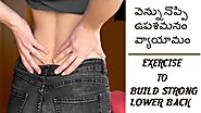 Exercise for strong lower Back and back pain relief in Telugu | వెన్నునొప్పి ఉపశమనం వ్యాయామం