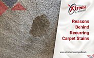 2 Major Reasons Behind Recurring Carpet Stains