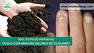 Nail Fungus Warning: Could Cow Manure Allergy Be to Blame?