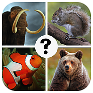 Guess the Animal Quiz - Free & Funny Word Puzzle Trivia Pics Science Spirit Zoo Game for Kids