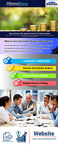 Commodity Trading Firms