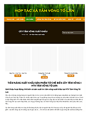 Cây tầm vông xuất khẩu | edocr