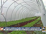 Urban farming tax credit announced for Baltimore City