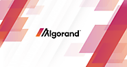 Algorand’s Commitment to Sustainable Blockchain Development in Boston