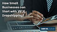 How Can a Small Business Use Wix Dropshipping to Get Started?