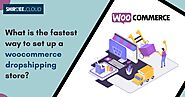 What is the fastest way to set up a woocommerce dropshipping store?