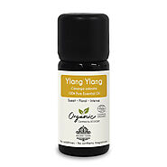 Aroma Tierra Ylang Ylang Essential Oil - 100% Pure & Organic