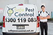 Pest Control Woollahra
