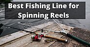 Ultimate Guide to the Best Fishing Line for Spinning Reels - Fishingtel.com